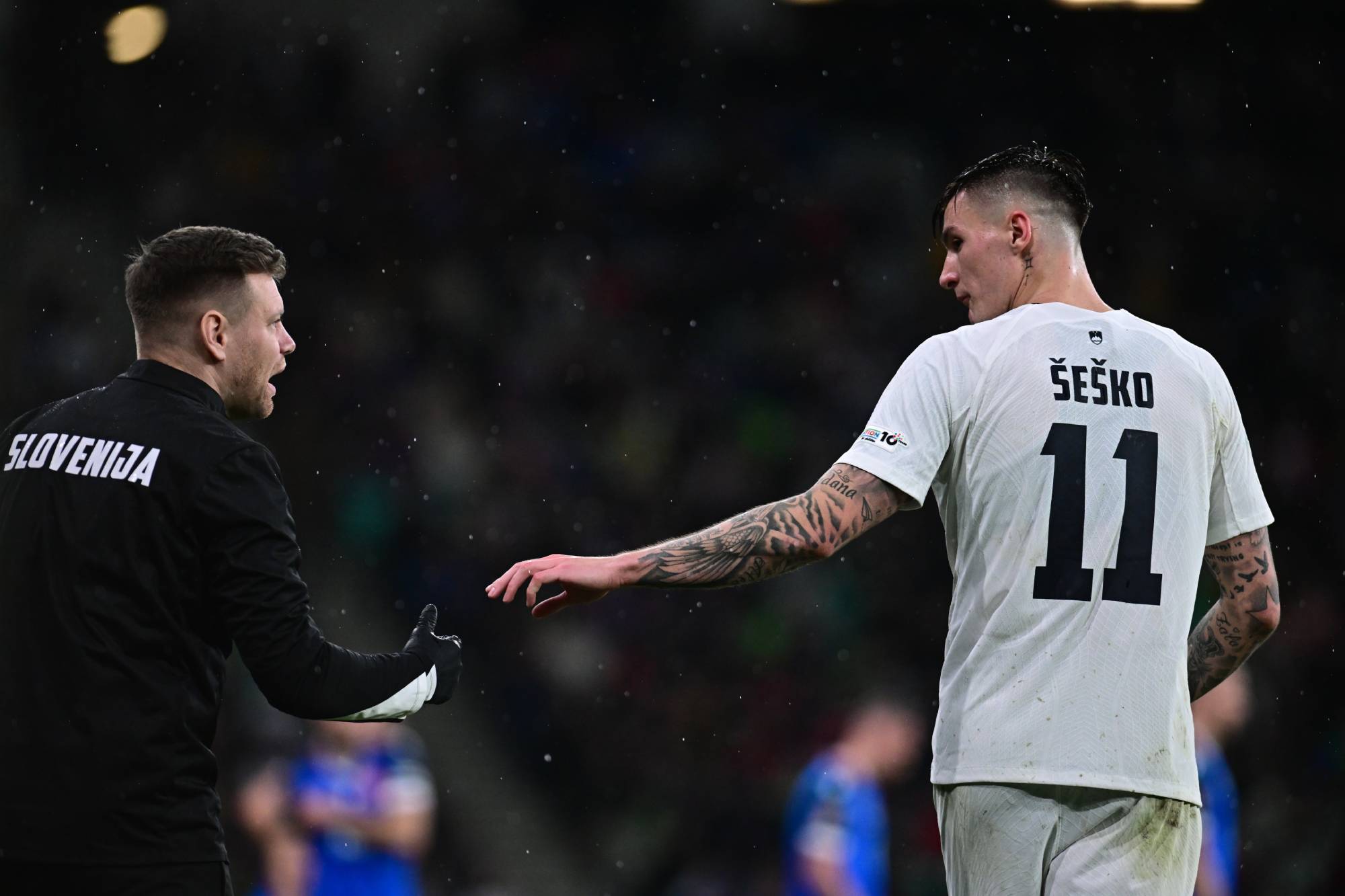 Quan chức Slovenia: Seseško không thể thi đấu và tập luyện vì chấn thương và sẽ bỏ lỡ vòng sơ loại World Cup tháng này