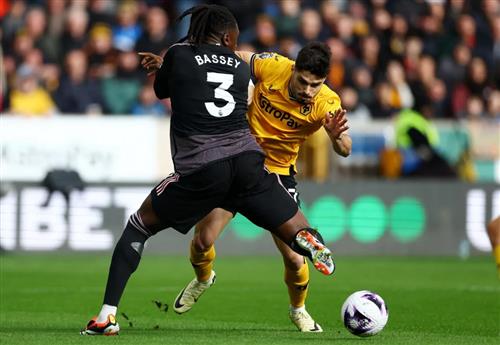 Wolves vs Fulham