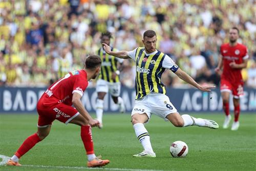 Nordzealand vs Fenerbahce