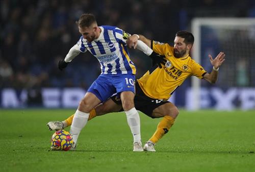 Brighton đấu với Wolves