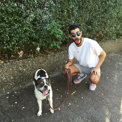 6686体育合作伙伴Clifford