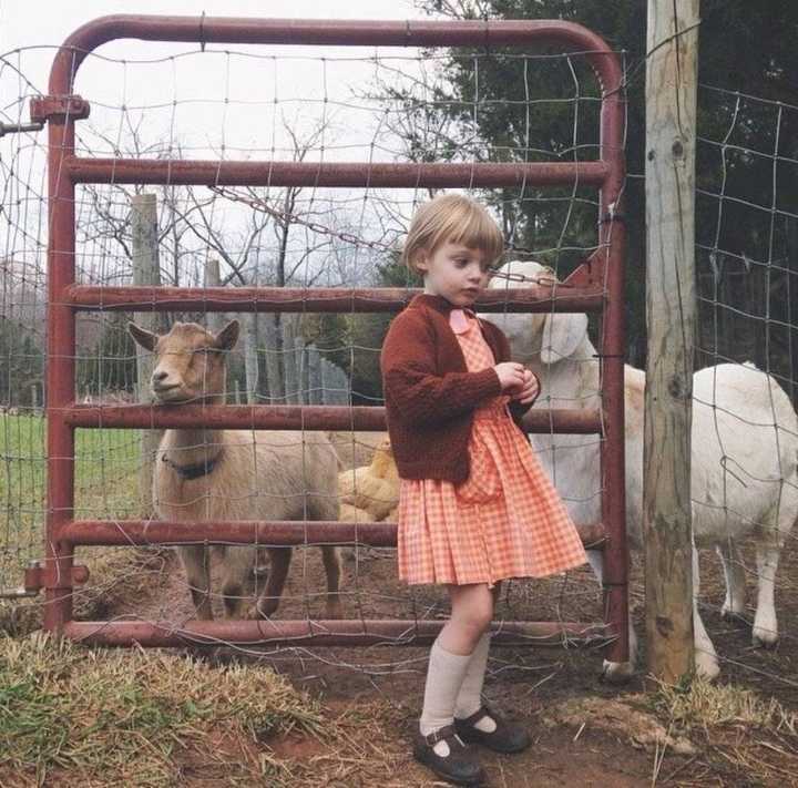 6686体育铁牌作者千山暮雪