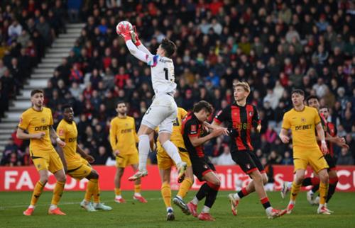 AFC Bournemouth vs Wolves